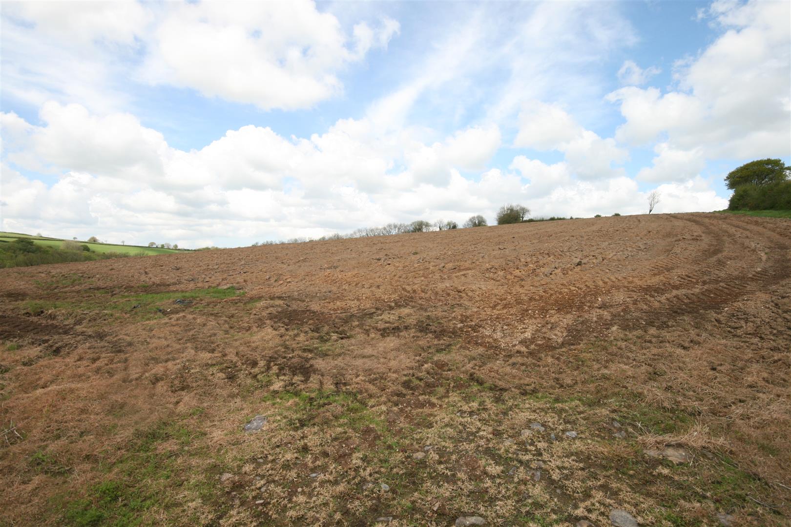 THE LAND